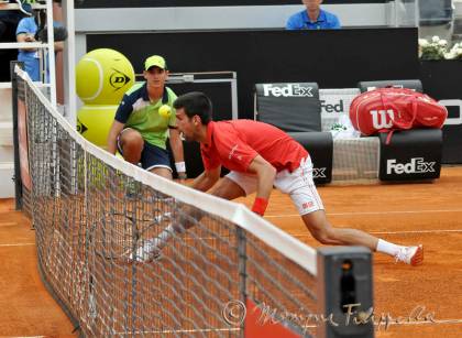 Novak Djokovic, Campionati Internazionali BNL d'Italia 2016 - Foro Italico - Roma (foto di Monique Filippella)