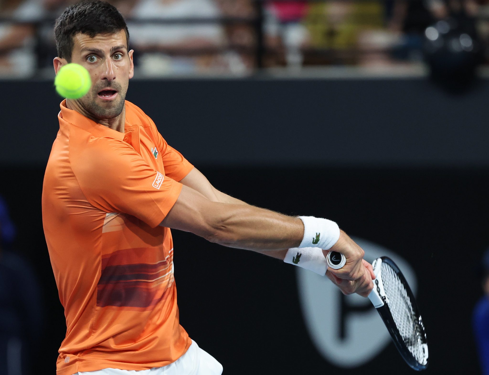 ATP Adelaide 1: Djokovic Doma Shapovalov Ancora Una Volta, Super-sfida ...